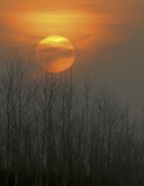  Cliff May - Winter Sunset