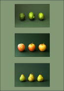 fruit collarge