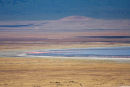 Pink flamingoes on Lake Magadi