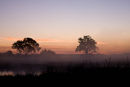 Sunrise in the Delta