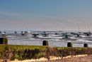 Southend-on-Sea