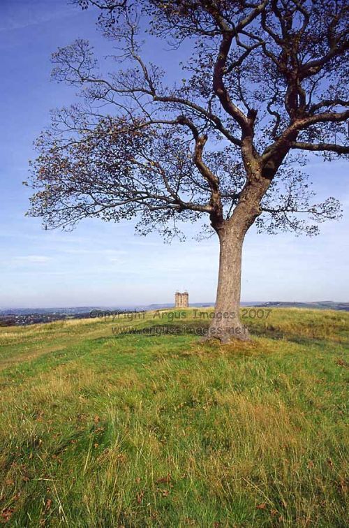 Lyme Moorland