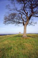 Lyme Moorland