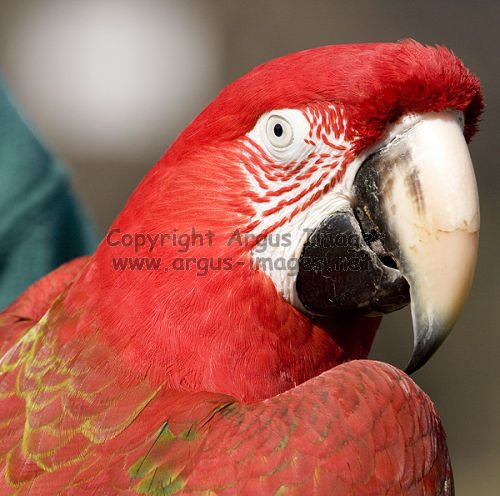 He really IS a pretty boy!