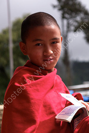 Young Monk