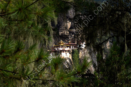 Tiger's Nest 