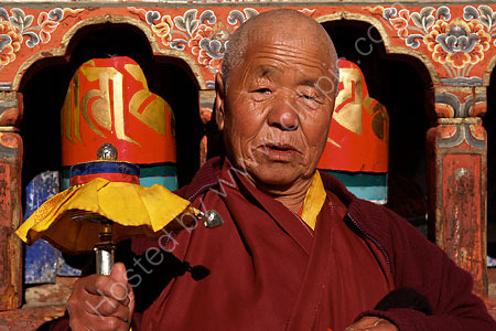 Buddhist Nun