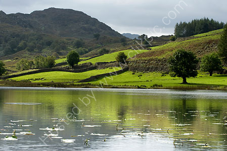 Watendlath Tarn