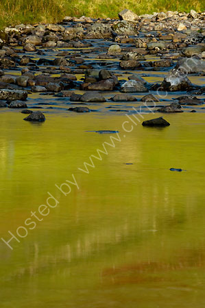 Stones & Stream
