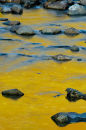 GoldnBlue