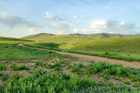 Khustai Nuruu National Park