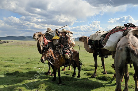 Nomad with Camels