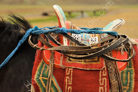 Mongolian Saddle