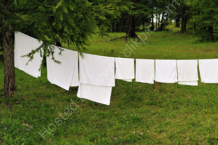 Larches & Laundry