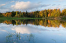 Darryl's Pond