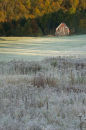 Wonky Barn, Frosty Morning