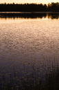 Golden Pond