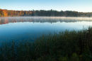Bliss Pond, First Light