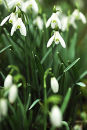 18th February 2011