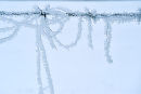19th December 2010