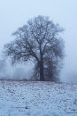 29th December 2010