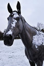 2nd December 2010