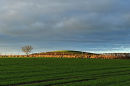 8th January 2011