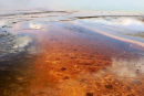 Grand Prismatic Spring 
