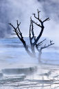 Steaming Silhouette
