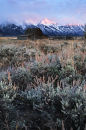 Mormon Row & Grand Tetons