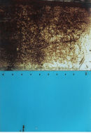 Corrosion  Photograph, 2007