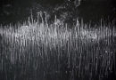 Emanation  Etching, edt 6  50 x 60 cm, 2007