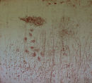 Flowing III  Etching, edt 10  55 x 60 cm, 2008