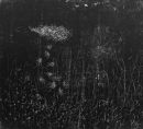 Flowing II  Etching, edt 10  55 x 60 cm, 2008