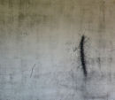 Stitched Mantis Religiosa  Etching, thread on Japanese paper, edt 4  60 x 70 cm, 2009