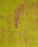 Gestation  Etching, edt 6  55 x 60 cm, 2007