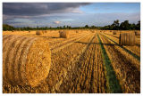 Baling Out