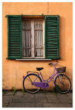 la Bicicletta