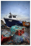 Ropes & Boats