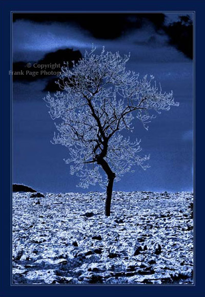 'Blue Desolation'