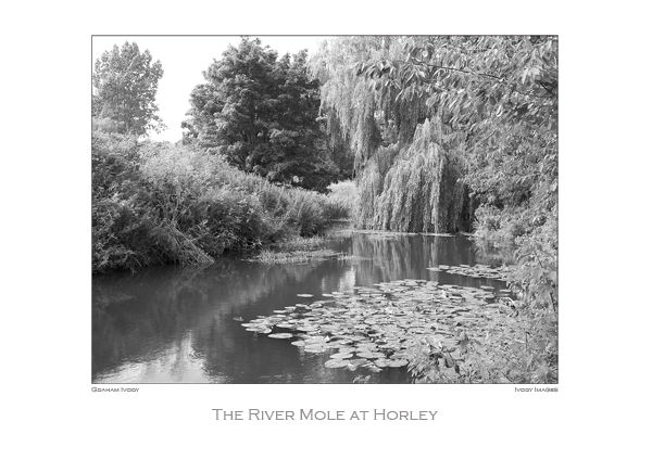 The River Mole at Horley