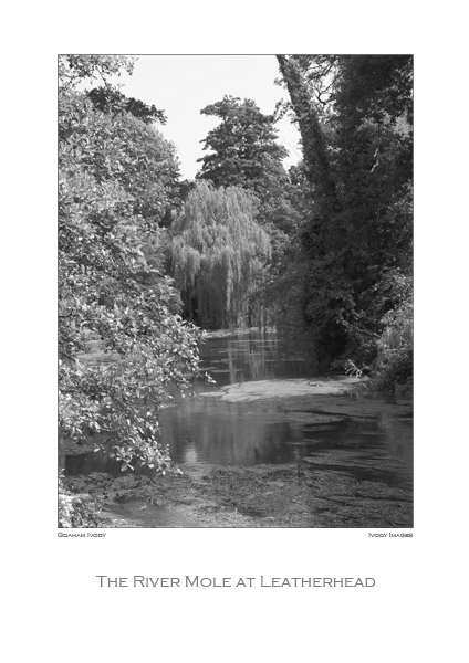 The River Mole at Leatherhead