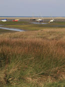 October grass