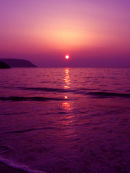 Pink sunset