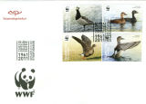 Gadwall Photo used for an Icelandic Postage Stamp