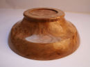 Base of Burr Elm Bowl
