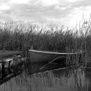 Boat in the reeds