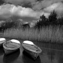 Boats for hire