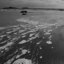 Foam on the beach
