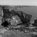 The Green Bridge